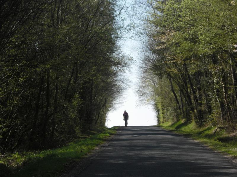 Mont Saint Michel 2010 - 081.jpg